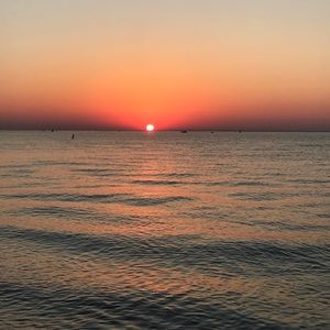 Meet your Posher, Maggie